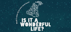 Is It A Wonderful Life?